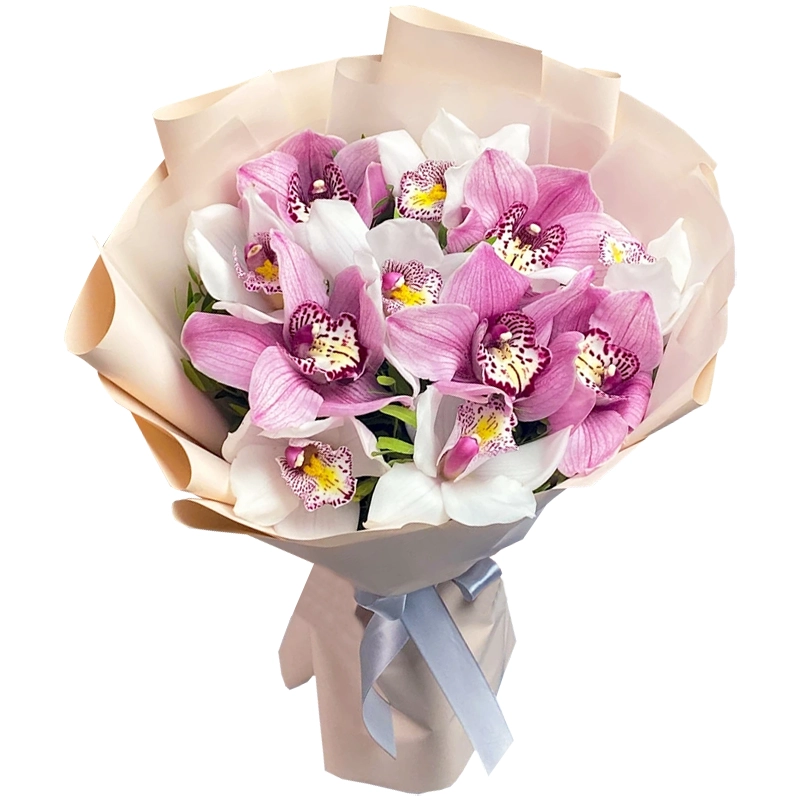 Букет из 11 орхидей нежный микс